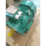 Електродвигун K20R 132, 5,5 кВт, 955об/хв